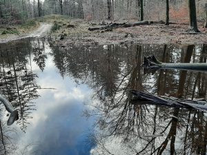 Spiegeling-met-grafheuvel copy-2